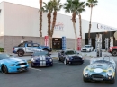 Shelby  11 